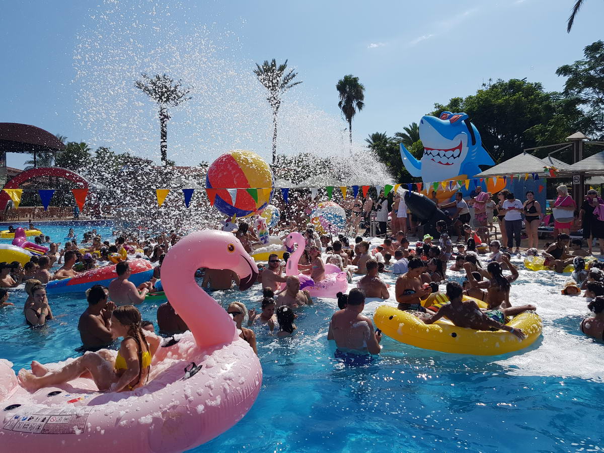 Pool Party Funny Shark